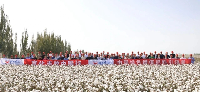 宜化豐收中國行！新疆棉花大型測產(chǎn)觀摩會成功舉行(圖1)